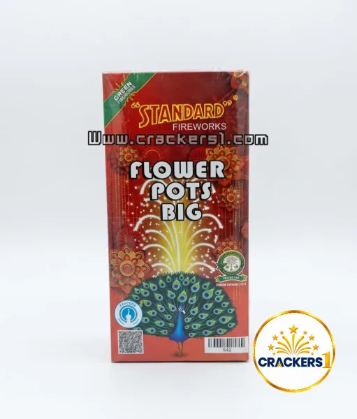 Standard flower pot big