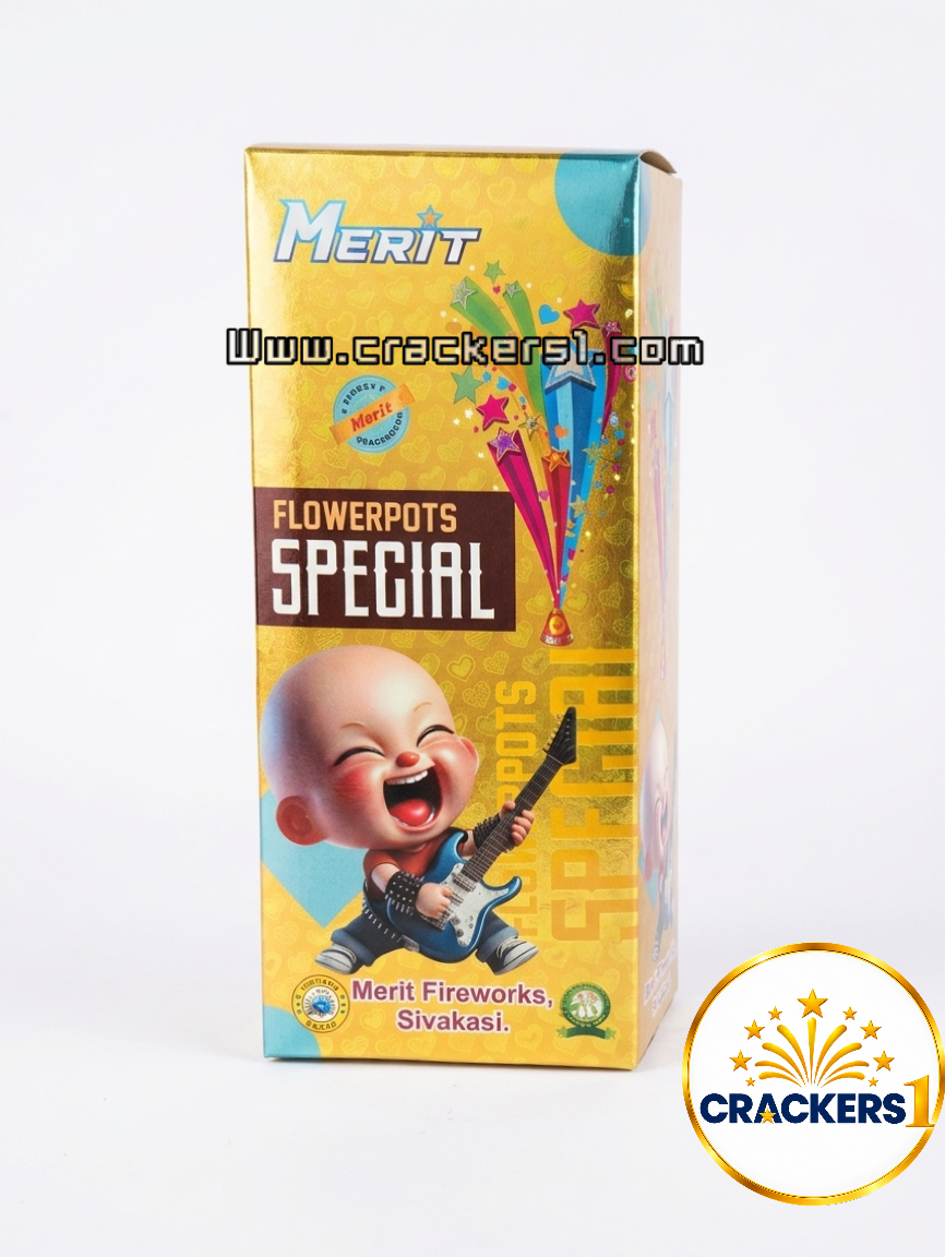 Flower pot special (10pcs)
