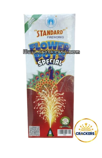 Standard flower pot special