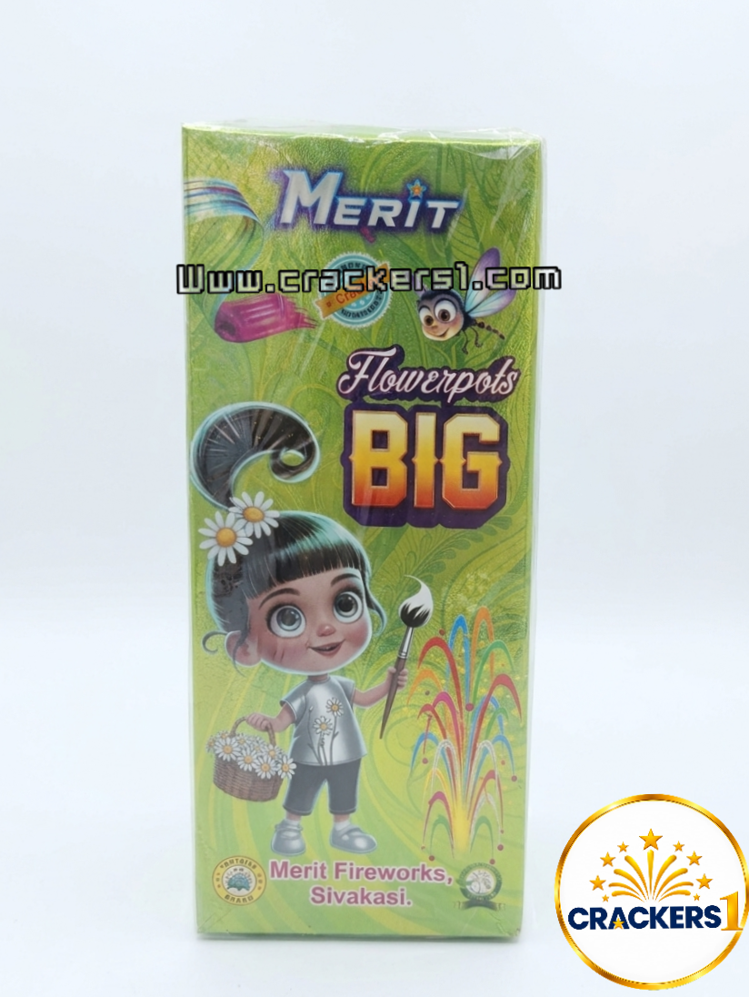 Flower pot big (10)